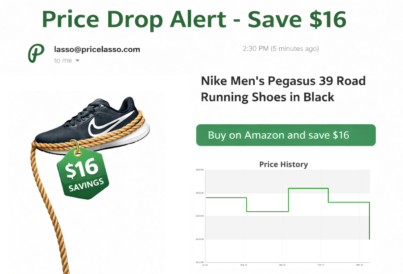 Example of PriceLasso price tracking email showing a price drop
